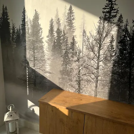 Проживание в семье Blablaflat Witosa *