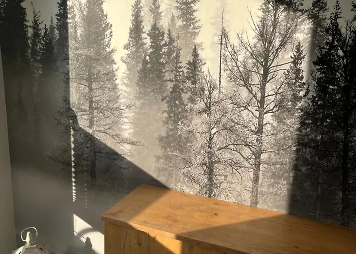 民宿 Blablaflat Witosa *